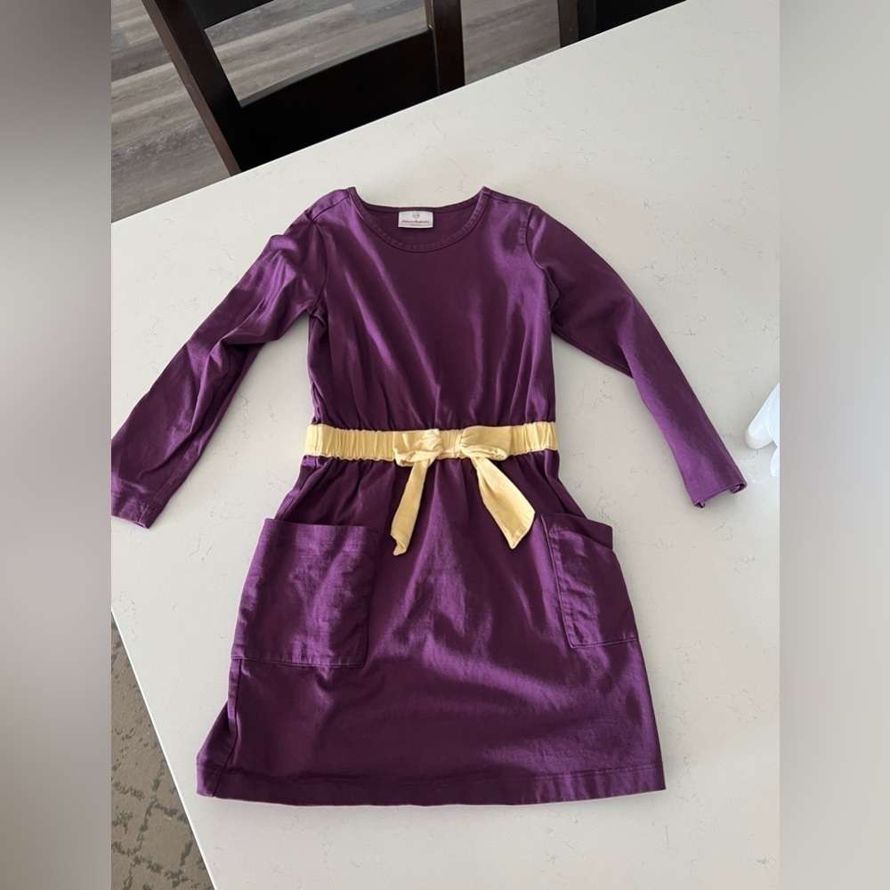 Hanna Andersson Long Sleeve Purple Dress w/ Pockets size 110/5
